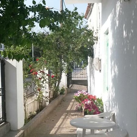 דירות סקאלה סוטירוס Sunsets In Thassos 2 מראה חיצוני תמונה
